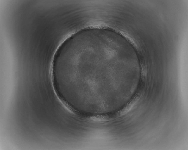 X0000111810630200908061116