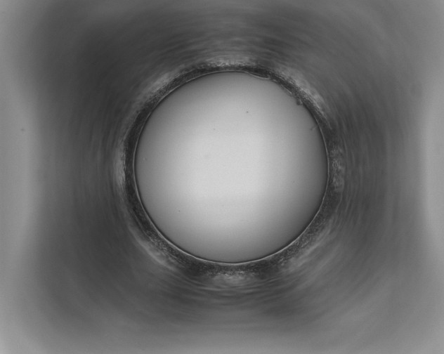 X0000111810631200908061116