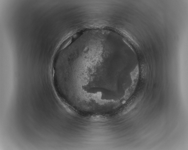 X0000111810634200908061116