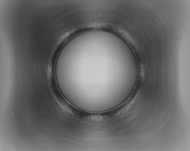 X0000111810636200908061116