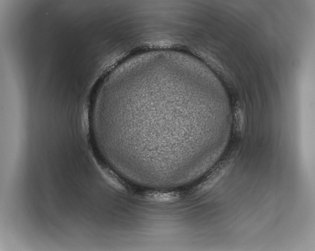 X0000111810638200908061116