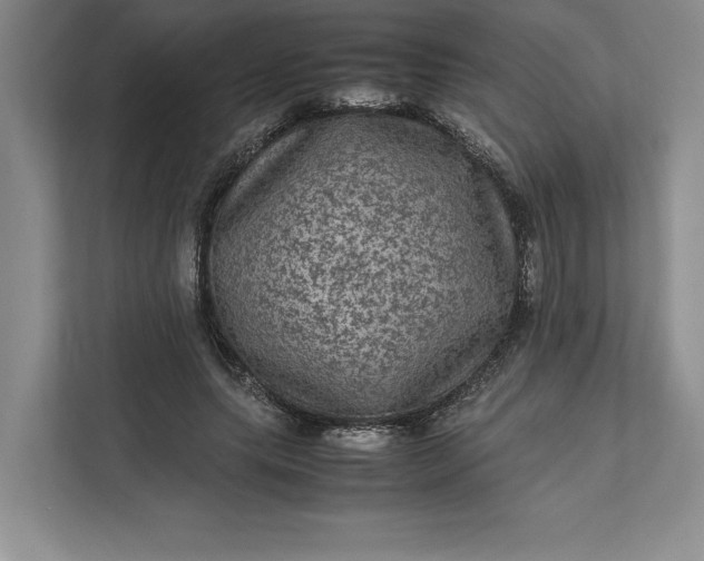 X0000111810639200908061116