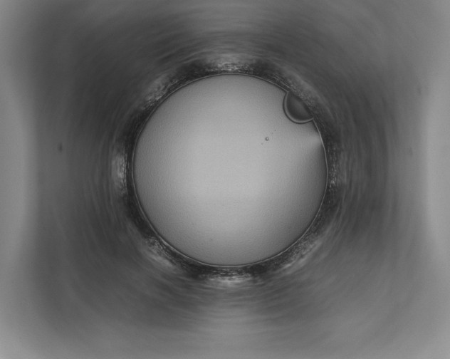 X0000111810646200908061116