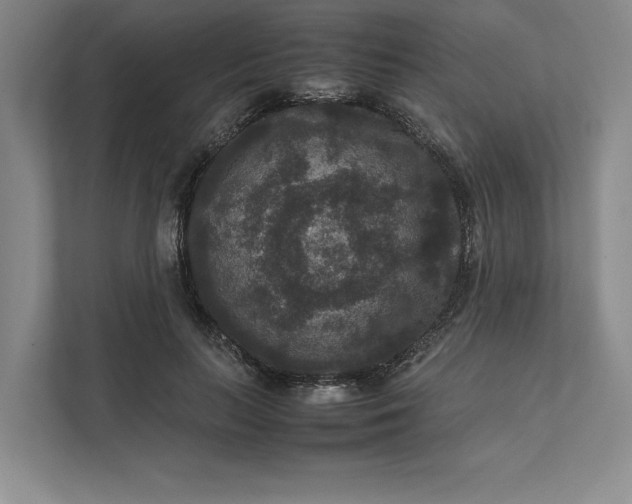 X0000111810647200908061116