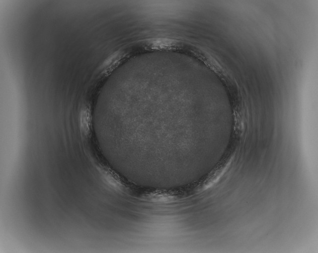 X0000111810648200908061116