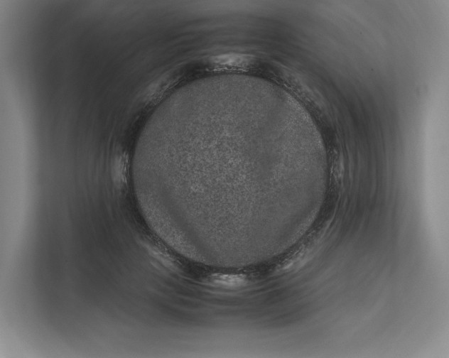 X0000111810649200908061116