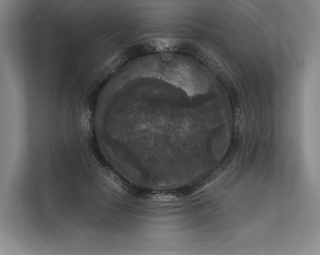 X0000111810650200908061116