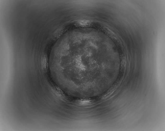 X0000111810651200908061116