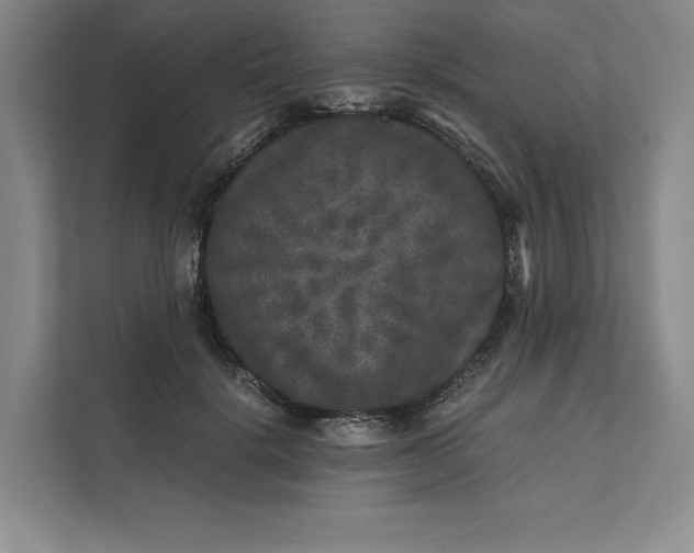 X0000111810652200908061116