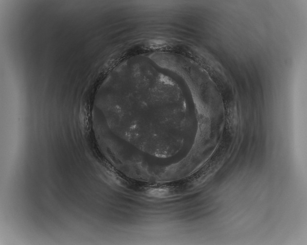 X0000111810653200908061116