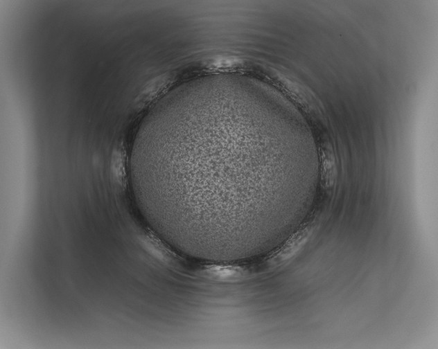 X0000111810654200908061116