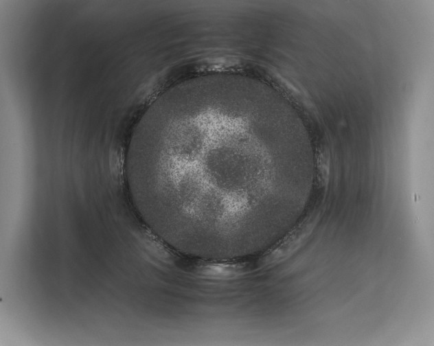 X0000111810657200908061116