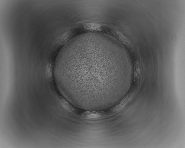 X0000111810658200908061116