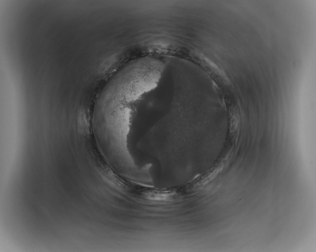 X0000111810661200908061116