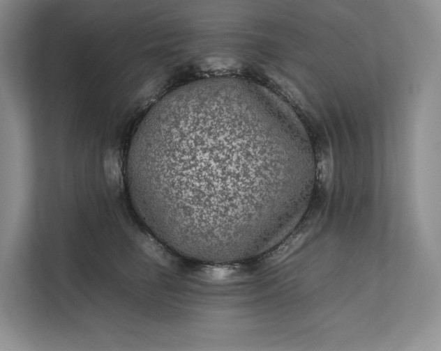 X0000111810662200908061116