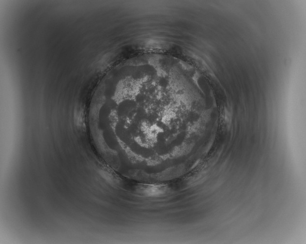 X0000111810663200908061116