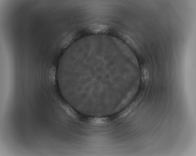 X0000111810664200908061116