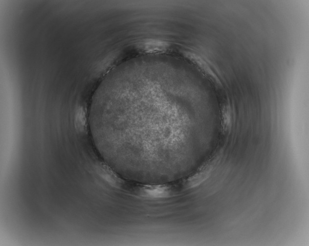 X0000111810667200908061116