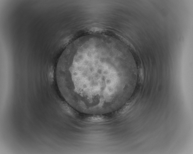 X0000111810668200908061116