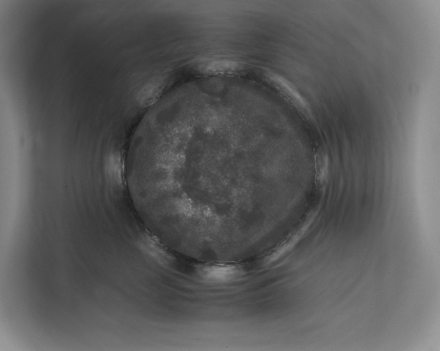 X0000111810669200908061116