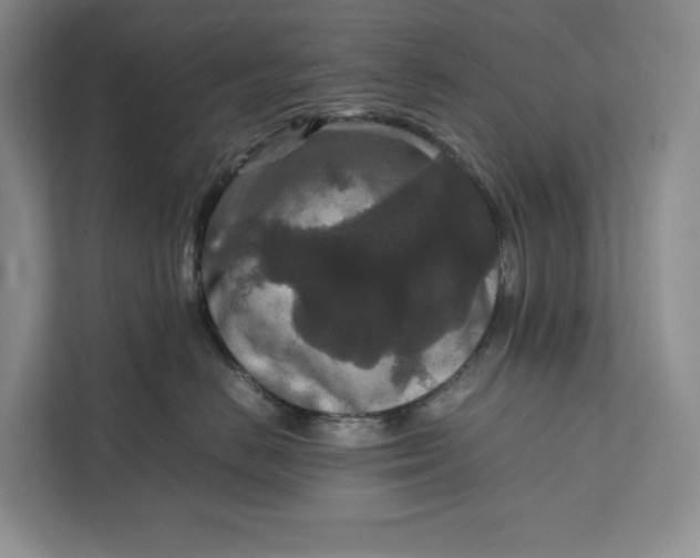 X0000111810670200908061116