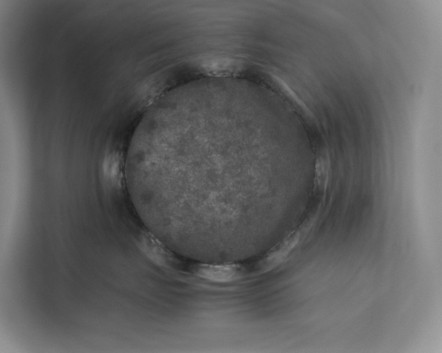 X0000111810671200908061116