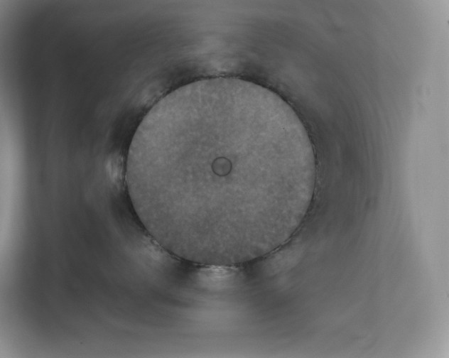 X0000111810672200908061116