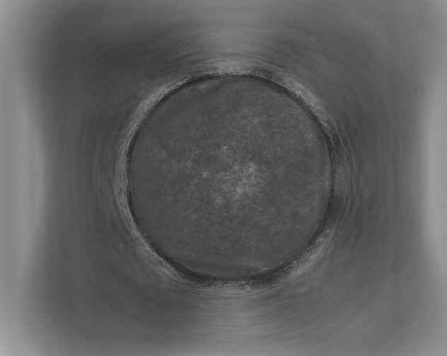 X0000111810673200908061116