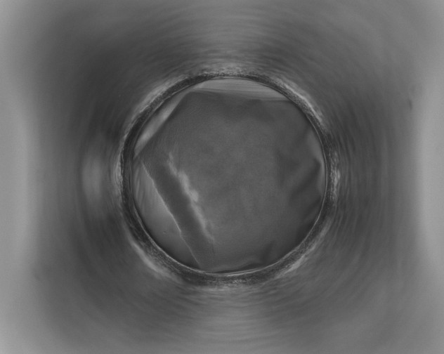 X0000111810674200908061116