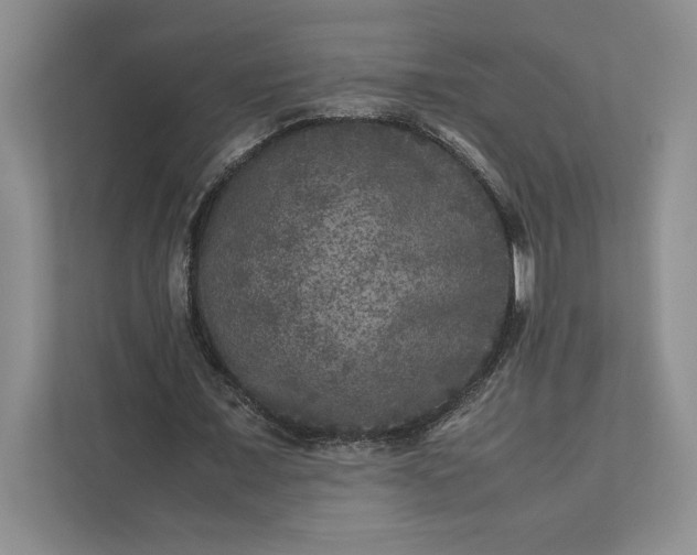 X0000111810675200908061116