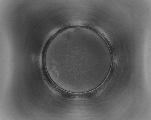 X0000111810678200908061116