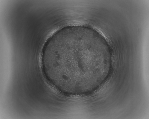 X0000111810679200908061116
