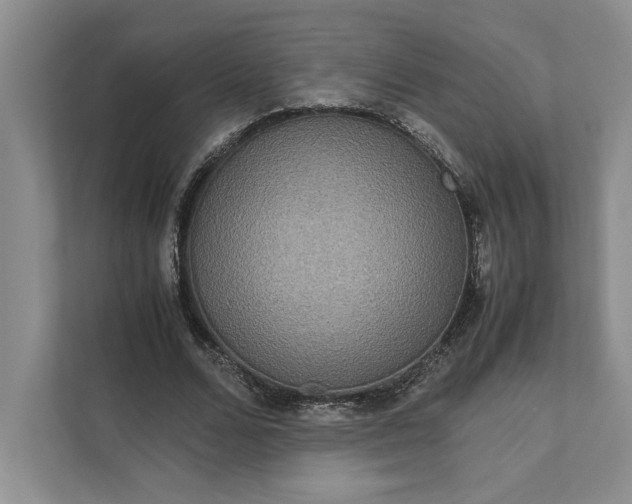 X0000111810680200908061116