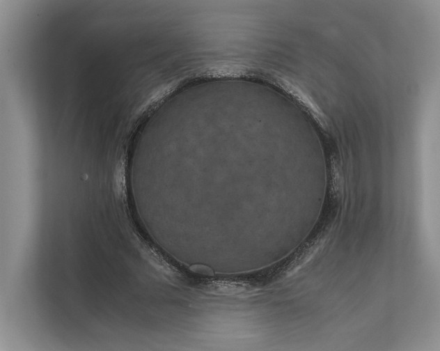 X0000111810681200908061116