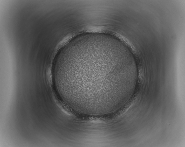 X0000111810682200908061116