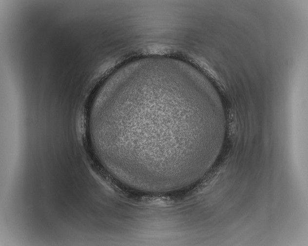 X0000111810683200908061116