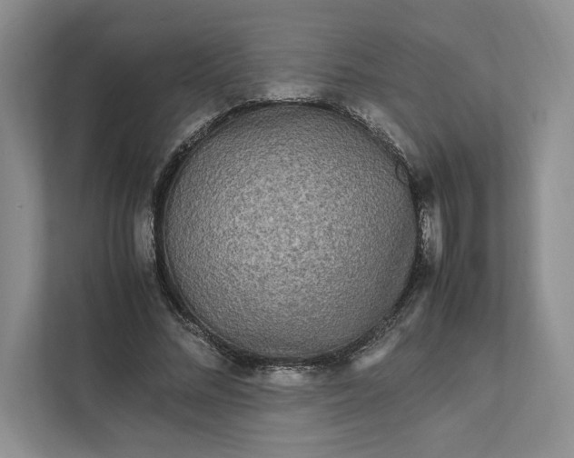 X0000111810684200908061116