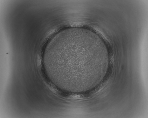X0000111810687200908061116