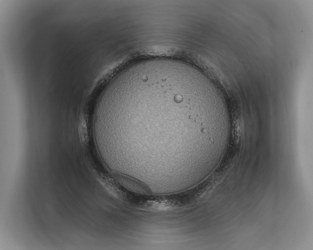 X0000111810688200908061116