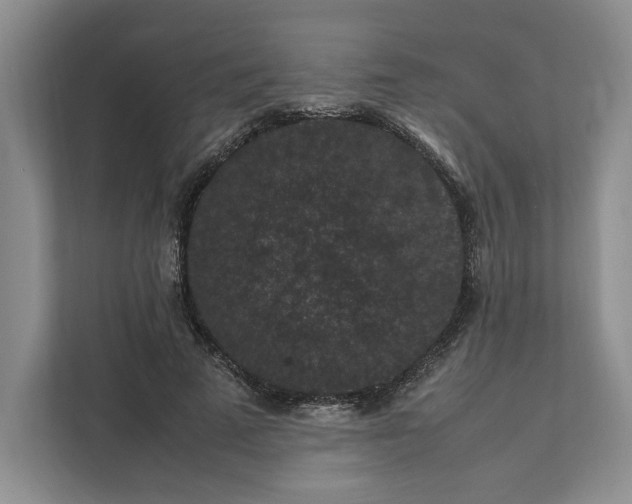 X0000111810689200908061116