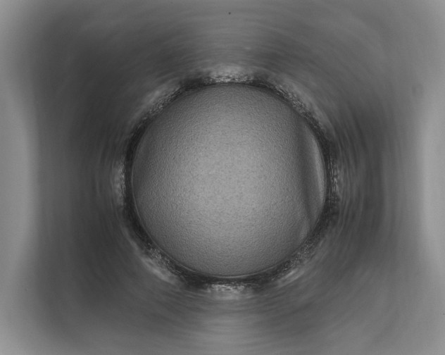 X0000111810690200908061116