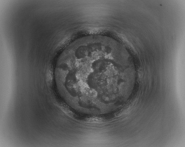 X0000111810691200908061116