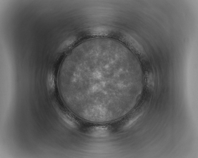 X0000111810692200908061115
