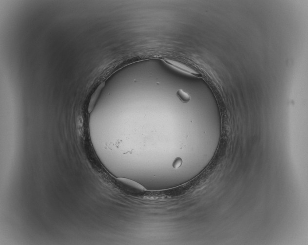 X0000111810693200908061115