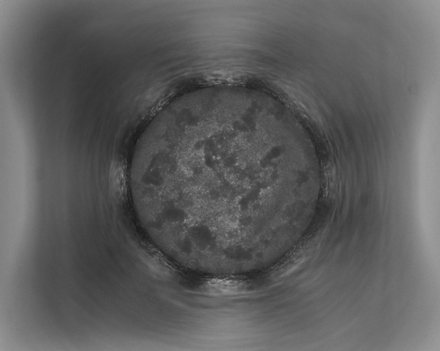 X0000111810699200908061115