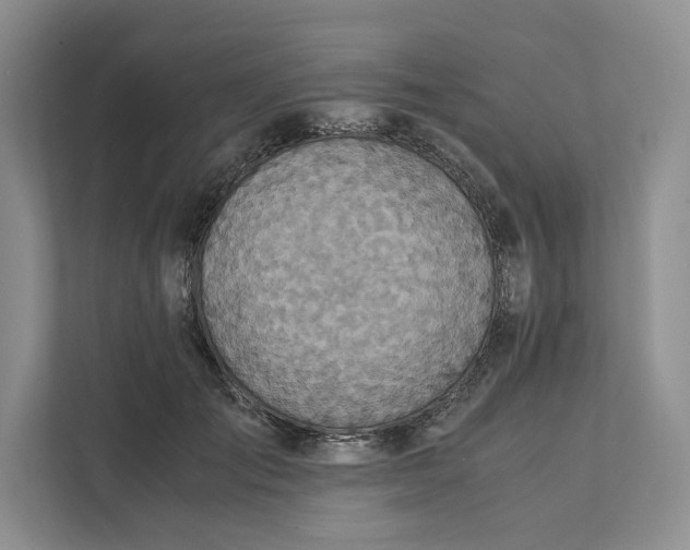 X0000111810701200908061115