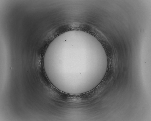 X0000111810702200908061115