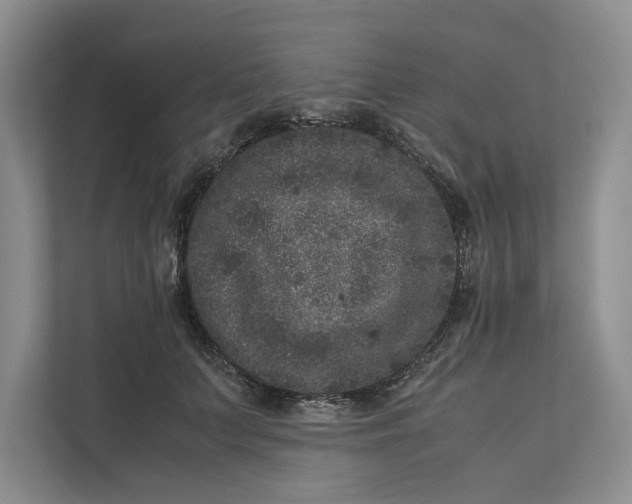 X0000111810703200908061115