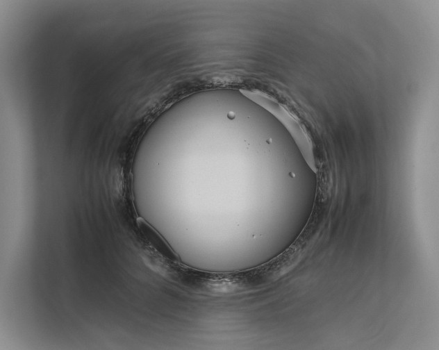 X0000111810704200908061115