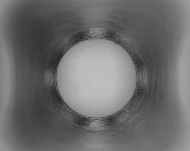 X0000111810705200908061115